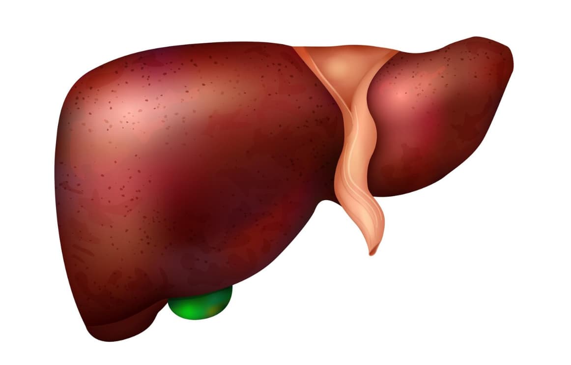 Fatty Liver Disease Symptoms